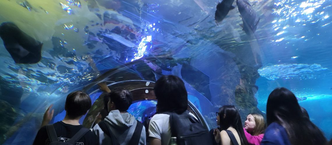 20230418_aquarium